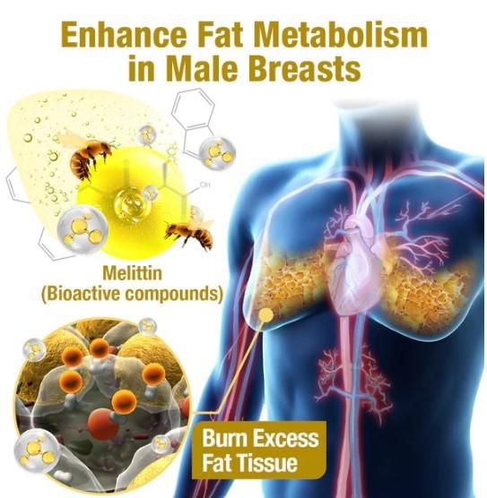 Chest Fat Bee Venom Gynecomastia Heating Oil